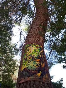 Ready Genuine Tree Profile on the Mother Tree 39°40'21.2''N 19°43'52.9''E goo.gl/maps/8jL7aMMUjJR2